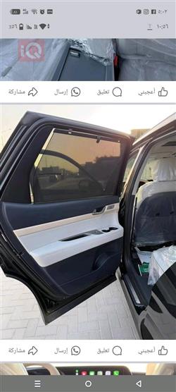 هيونداي باليسيد